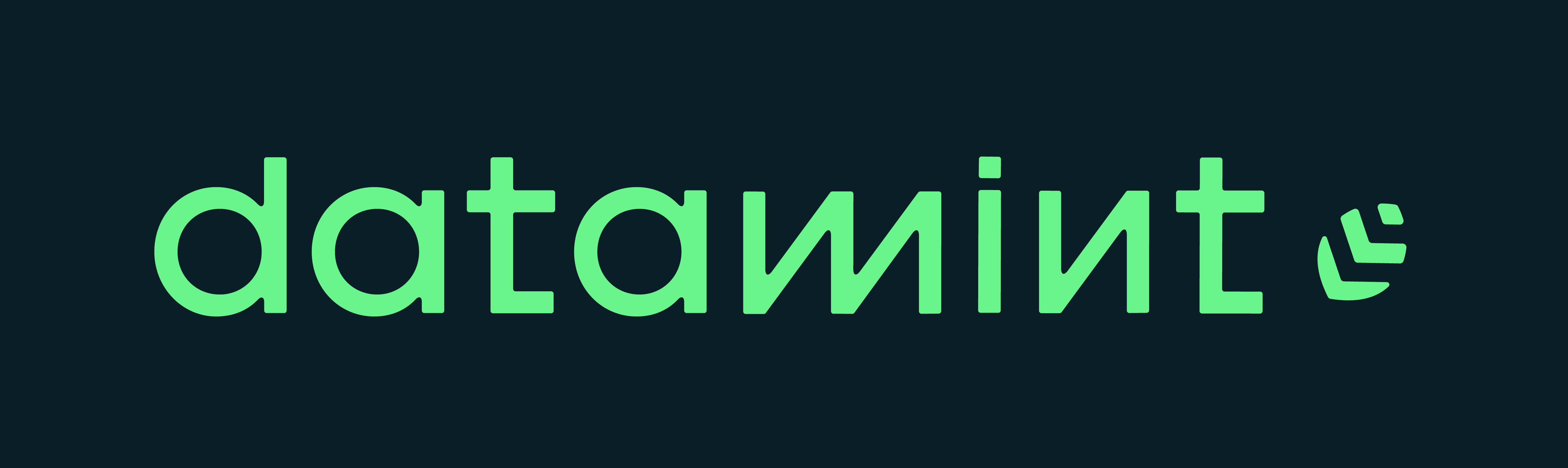 datamint logo